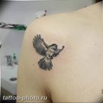 рисунка тату воробей 03.12.2018 №140 - photo tattoo sparrow - tattoo-photo.ru